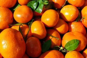 Sufinanciranje troškova otkupa i skladištenja mandarina