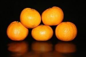 Sufinanciranje troškova otkupa i skladištenja mandarina