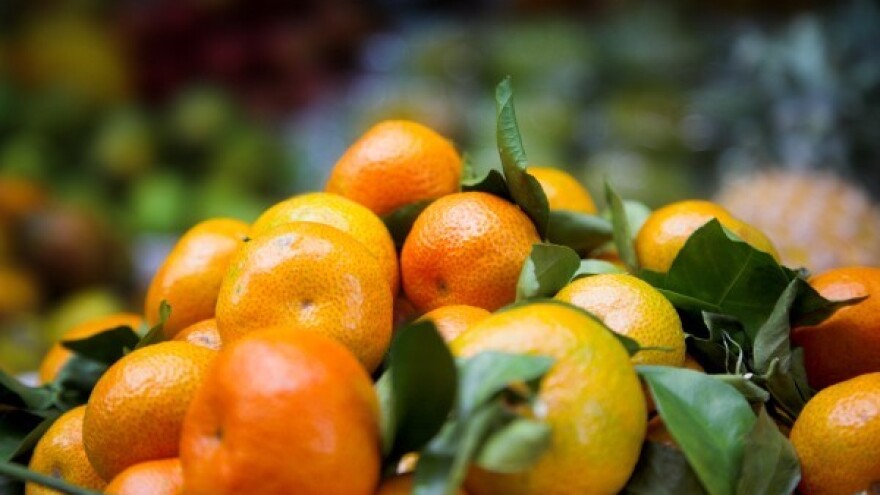 Iskoristite mjeru EK povlačenja voća s tržišta!