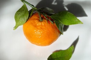 Nema mandarina za izvoz