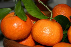 Dani mandarina u dolini Neretve