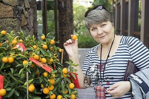 Panika oko mandarina