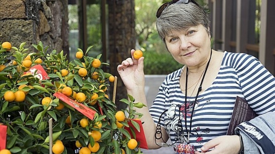 Panika oko mandarina