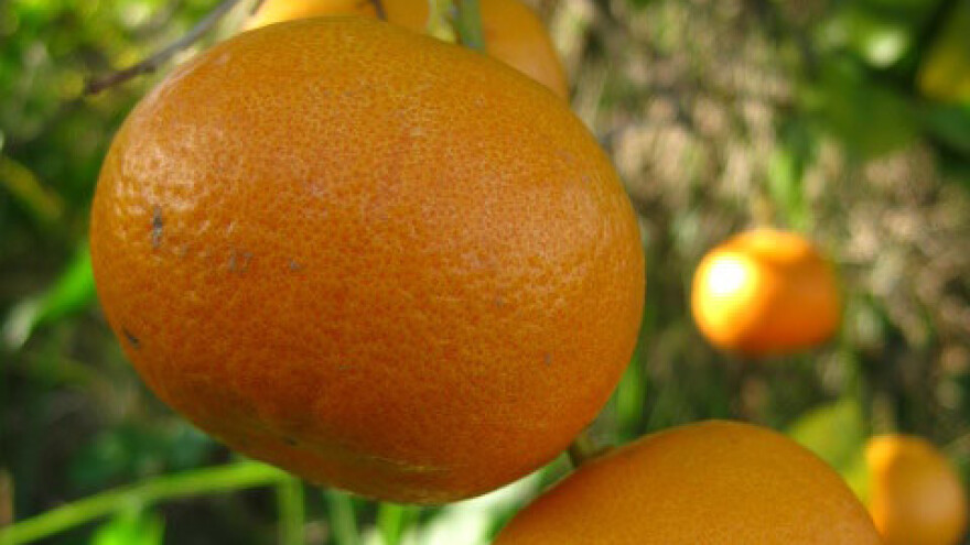 Kako naplatiti štetu iz praznog proračuna?