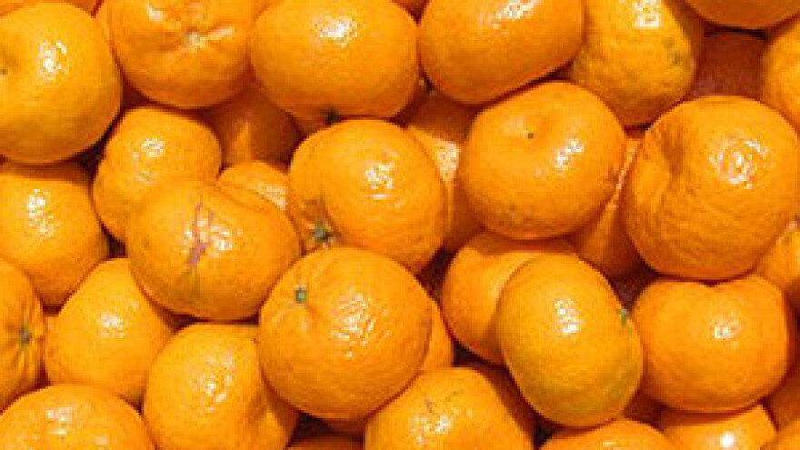 Uspješan sajam mandarina u Opuzenu