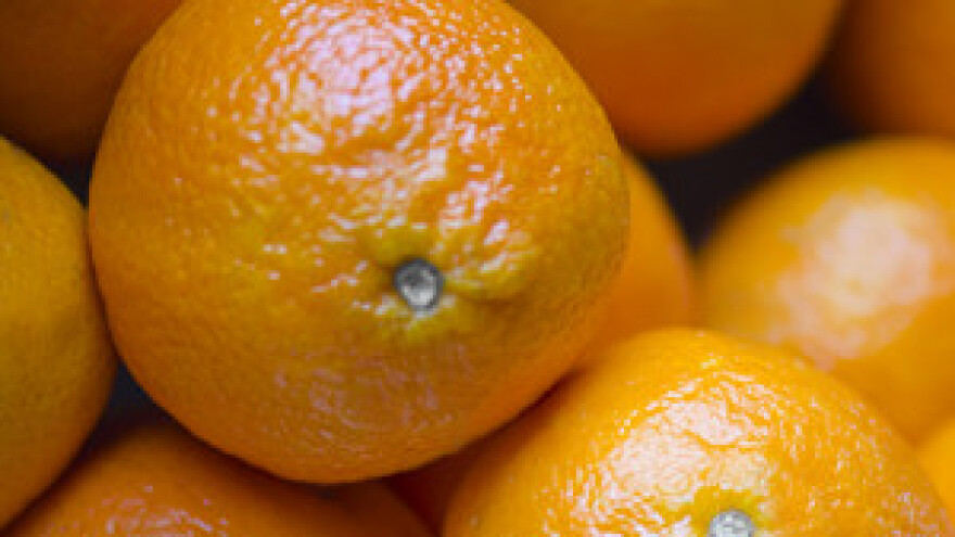 Dovoljno samo pšenice, meda i mandarinki