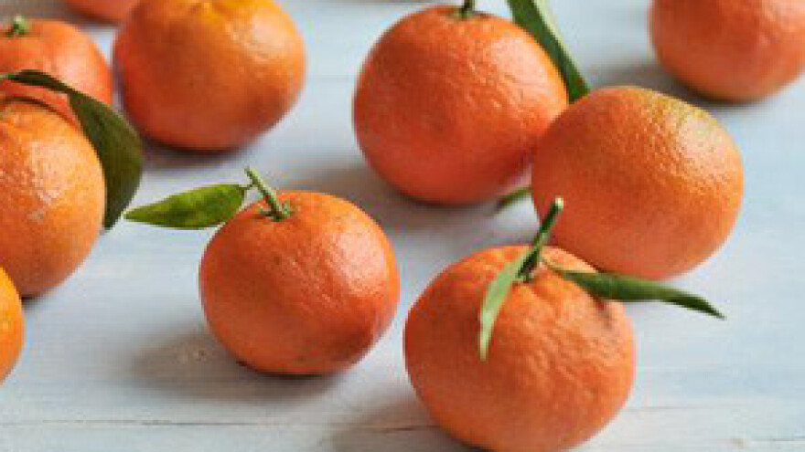 Umovi birokrata u državnoj upravi zaustavljaju gospodarski rast i razvoj