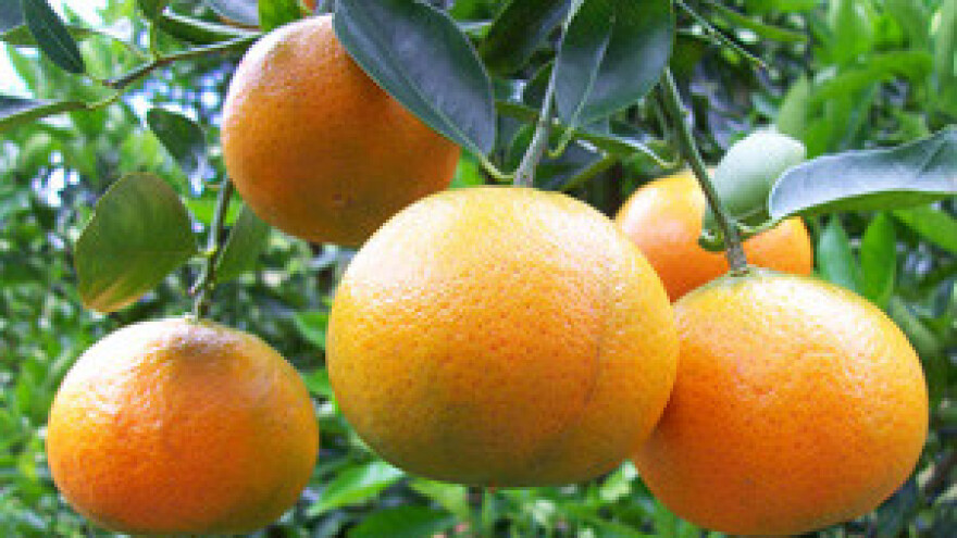 Dolina Neretve postaje neplodna slana pustara?