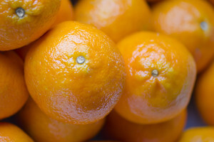 Uskoro gotovo projekt brenda neretvanske mandarine