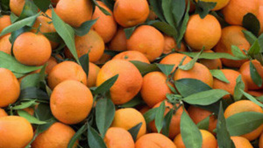 Apsurd novog Zakona o poticanju zapošljavanja