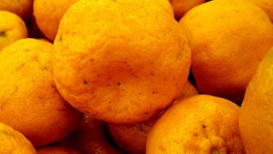 Državna pomoć od milijun kuna