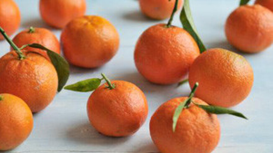 Pozitivna ocjena mjera Ministarstva poljoprivrede