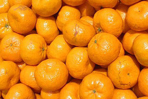 Stao otkup mandarina u dolini Neretve