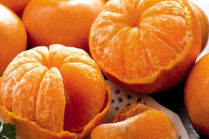 HOK traži poništenje javnog natječaja za otkup mandarina