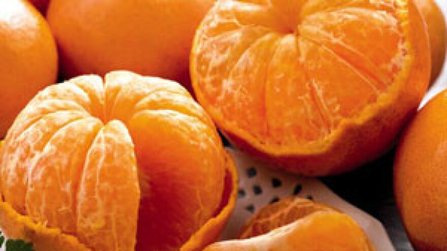 HOK traži poništenje javnog natječaja za otkup mandarina