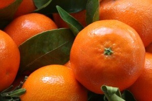 Kojim mjerama potpore EU možemo ojačati hrvatsko voćarstvo