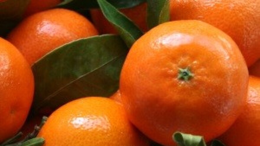 Kojim mjerama potpore EU možemo ojačati hrvatsko voćarstvo