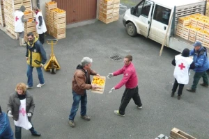 Crvenom križu doniraju se mandarine