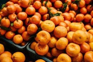 Iz Dubrovnika za Vukovar stiže 9 tona mandarina!