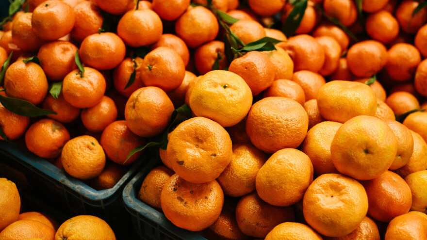 Iz Dubrovnika za Vukovar stiže 9 tona mandarina!