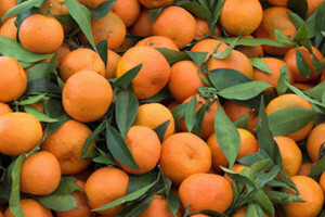 Dani mandarina u Opuzenu