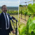 AdaptVitis: Projekt koji će dati rješenja za prilagodbu vinove loze klimatskim promjenama