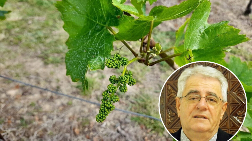 Vrijeme će u danima koji dolaze biti povoljno za sve poljodjelske radove