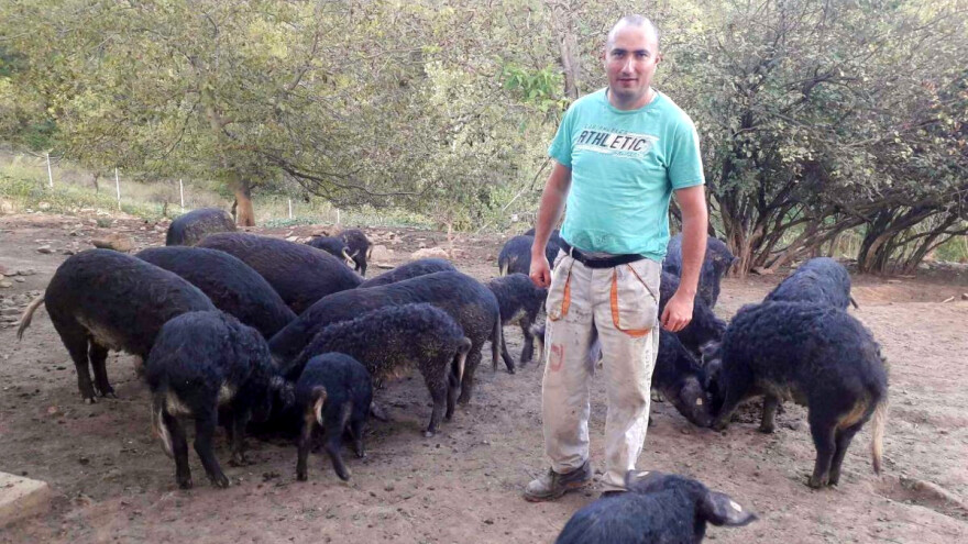 Posle časova u školi, pravac na selo gde ga čekaju mangulice