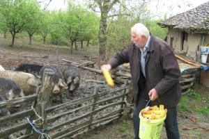 Mangulice - penzionerski dodatak!