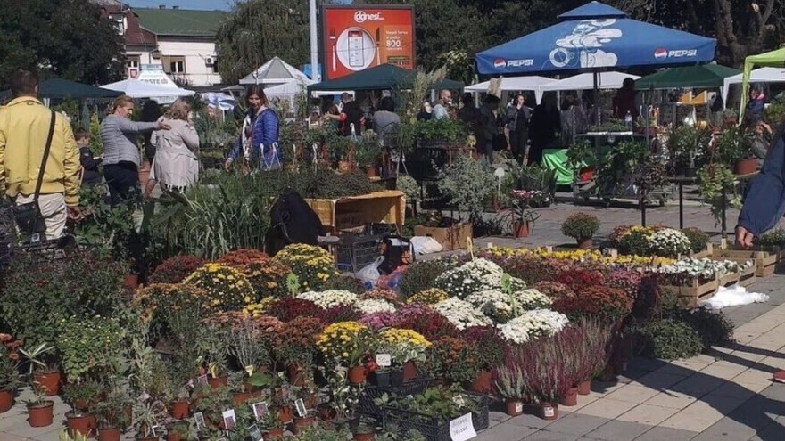 Raznim manifestacijama do promocije poljoprivrednih proizvođača