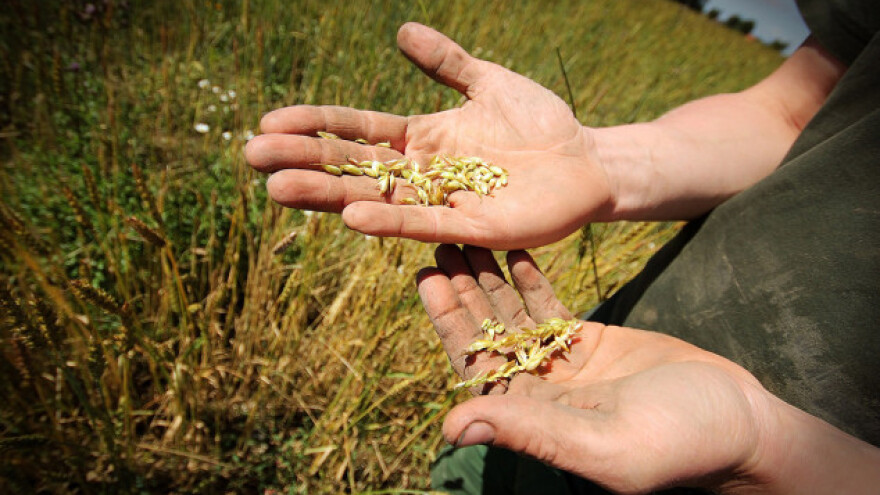 Poljoprivrednici manje proizveli i zaradili nego lani