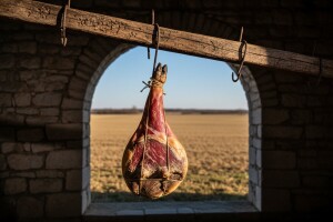 Manjak domaće sirovine