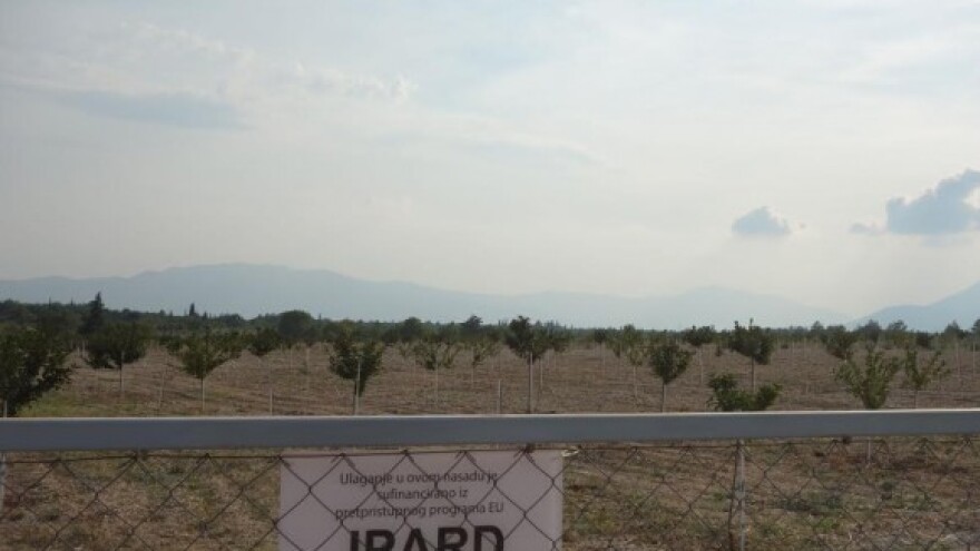 Za podizanje nasada višanja i navodnjavanje 439 tisuća kuna