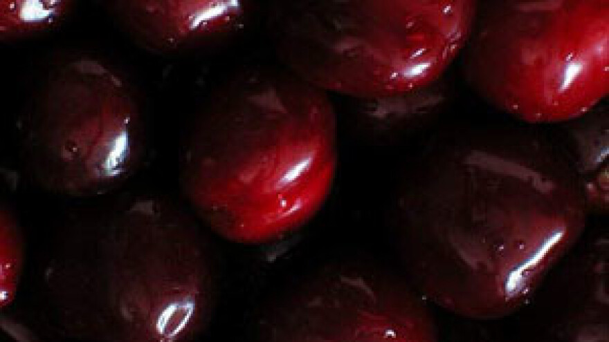 Počela isplata za ubranu marašku