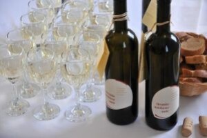 Zadarska maraština bi mogla postati velik brend