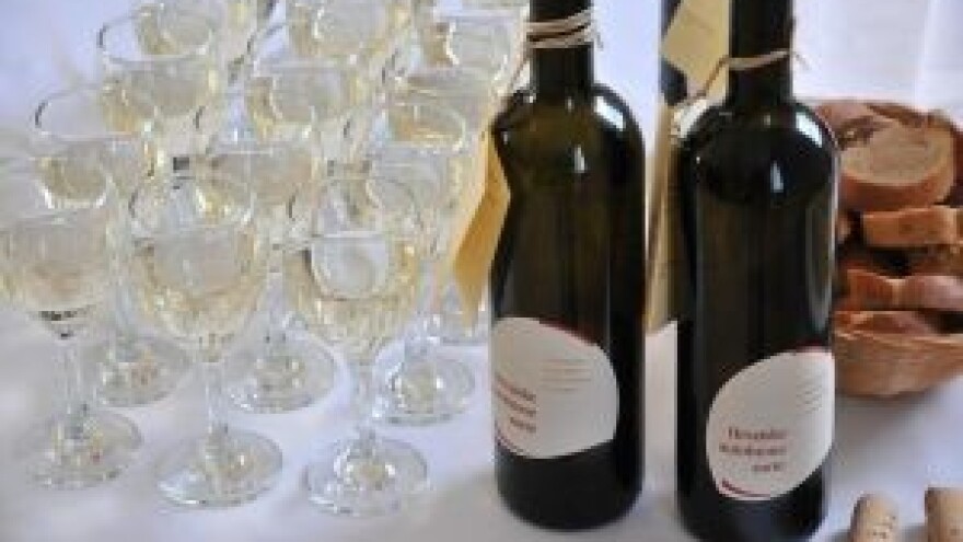 Zadarska maraština bi mogla postati velik brend