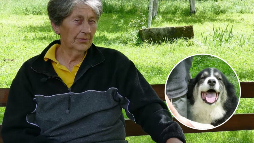 Mare Kafadar: Moji su tornjaci preko Hrvatske došli i do Austrije i Švedske