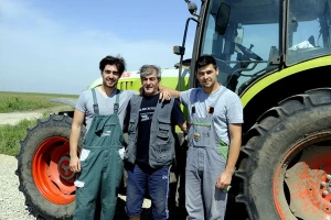 Braća Margan sa ocem obrađuju više od 200 hektara zemlje