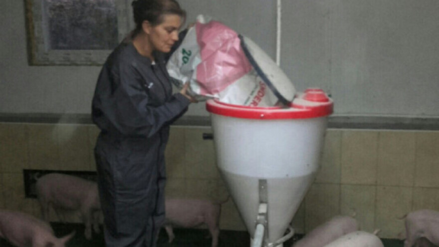 Jedina stočarka u selu