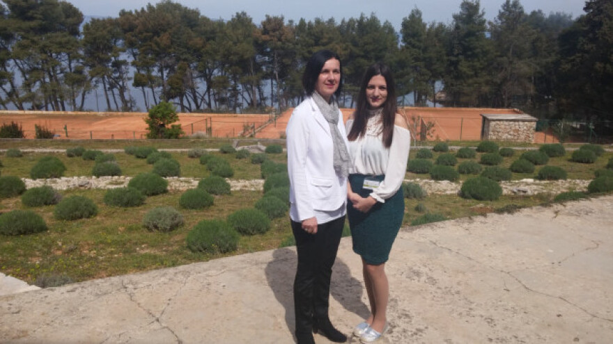 Sorta Krvavica - rješenje za razvoj bh maslinarstva