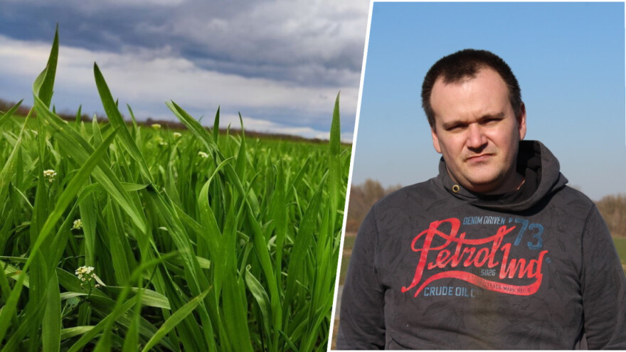 Lani suša, ove godine na nekim poljima žuta hrđa, no ratare sa pšenicom nešto više muči