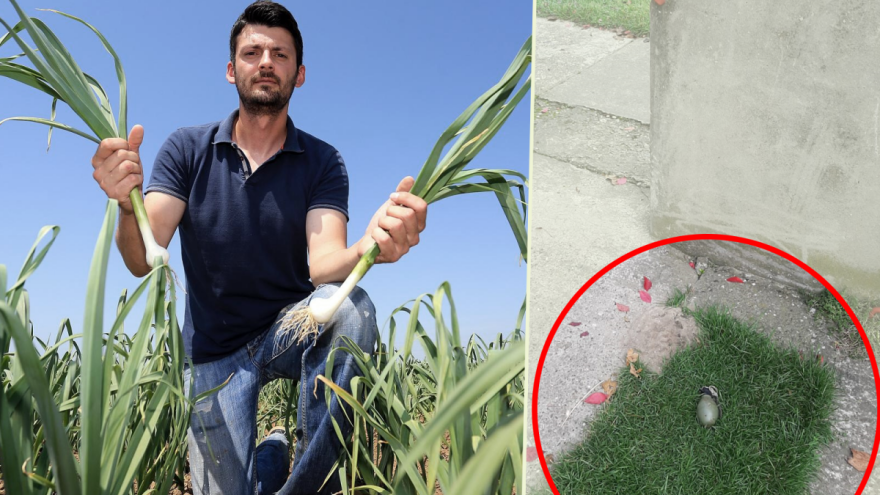 Zbog zakupa zemlje ostavili mu upozorenje - ručnu bombu u dvorištu!?