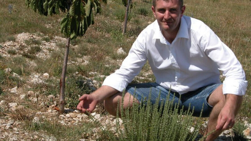 Mladi voćar u kršu širi trešnjik na 1400 stabala