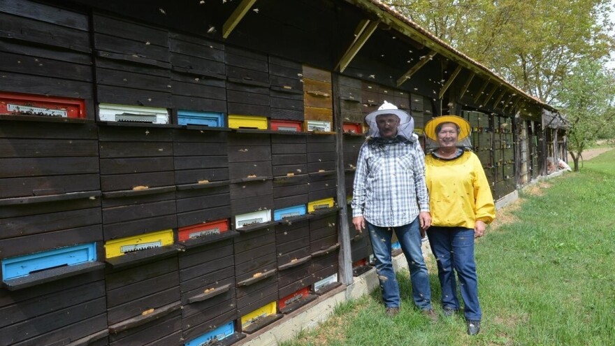 Marijan Hrženjak: Naš uspjeh je dokaz da ako imate kvalitetu, plasman nije upitan