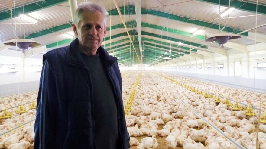 Marijan Škvorc 300 tisuća pilića godišnje grije na ukapljeni naftni plin