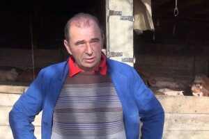 Marijan Kundakčić: Ljudi nemaju kome prodati svinje, treba vidjeti kako to rade Talijani i Španjolci