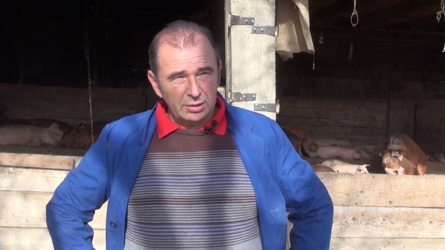 Marijan Kundakčić: Ljudi nemaju kome prodati svinje, treba vidjeti kako to rade Talijani i Španjolci