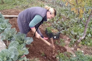 Sve se može kad se hoće, u seljaku je budućnost svijeta