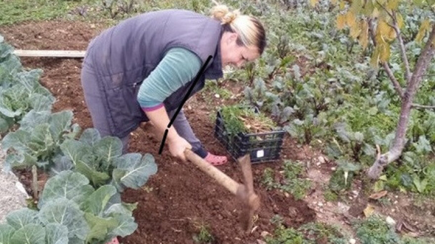 Sve se može kad se hoće, u seljaku je budućnost svijeta