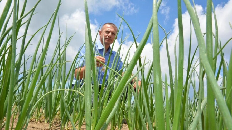 OPG Puškarić: Mirno spavam jer su mi svi usjevi osigurani i ništa ne prepuštam slučaju